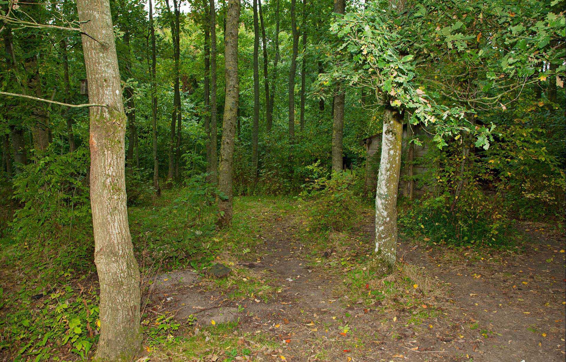 Hårup-Børnegård - skovlegepladsen