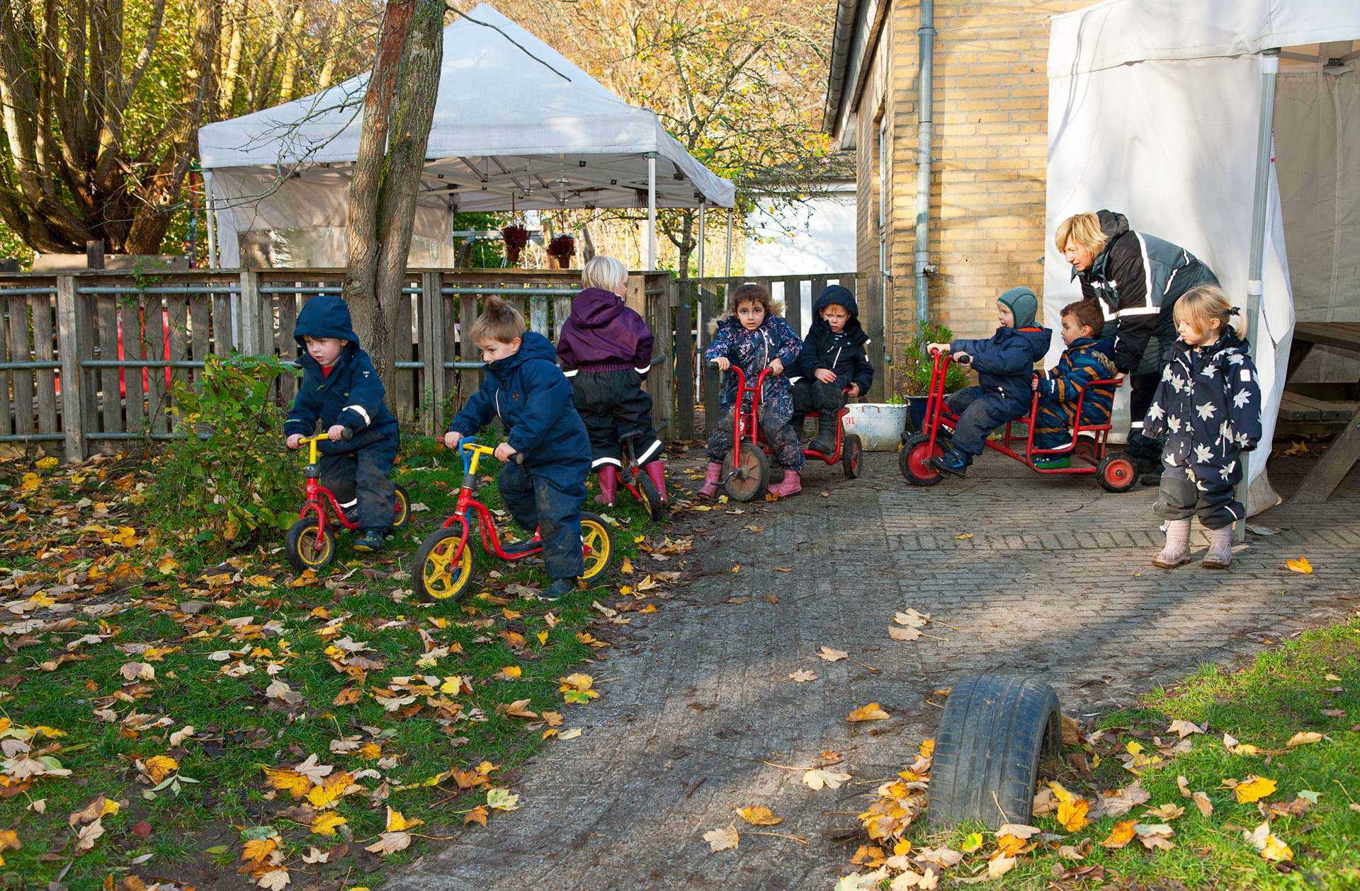 Solsikken - børn på cykler